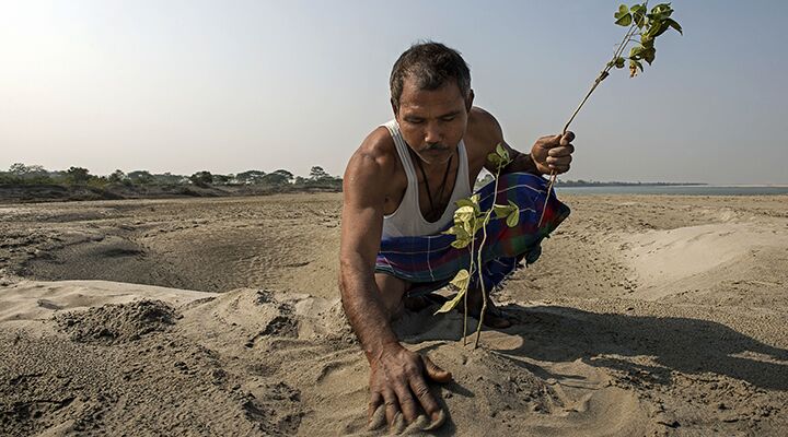 Majuli—the world's largest river island might just disappear in