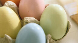 What&rsquo;s So Sacred About Easter?