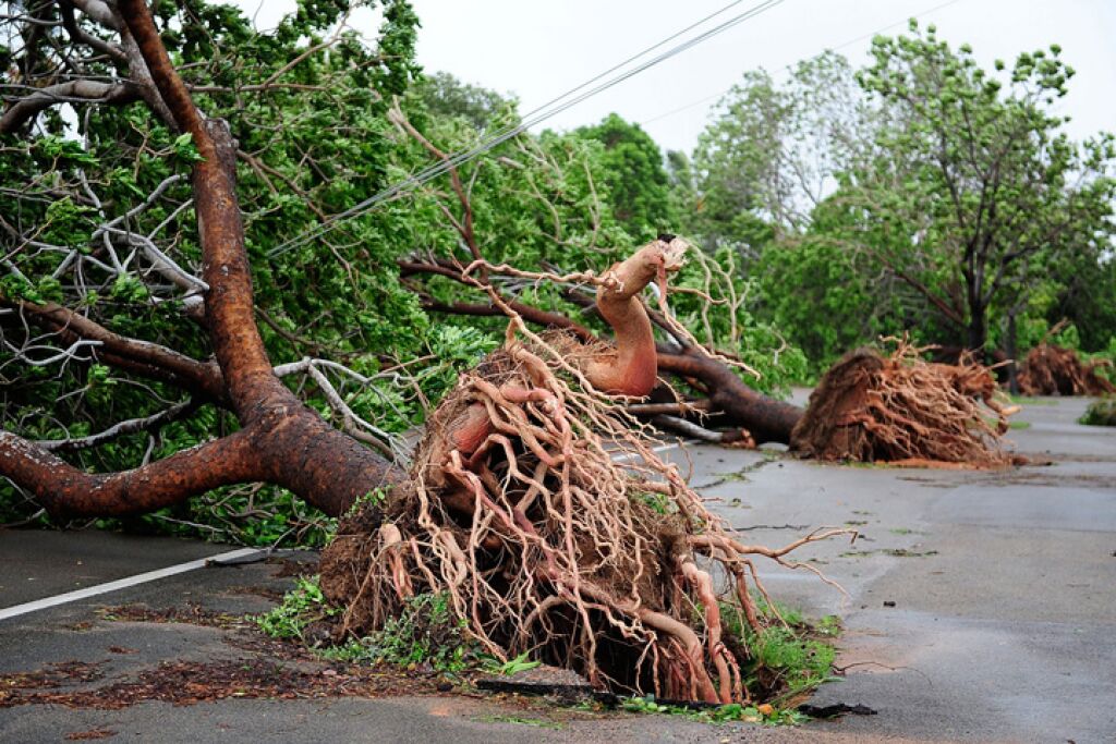 Queensland's Triple Whammy