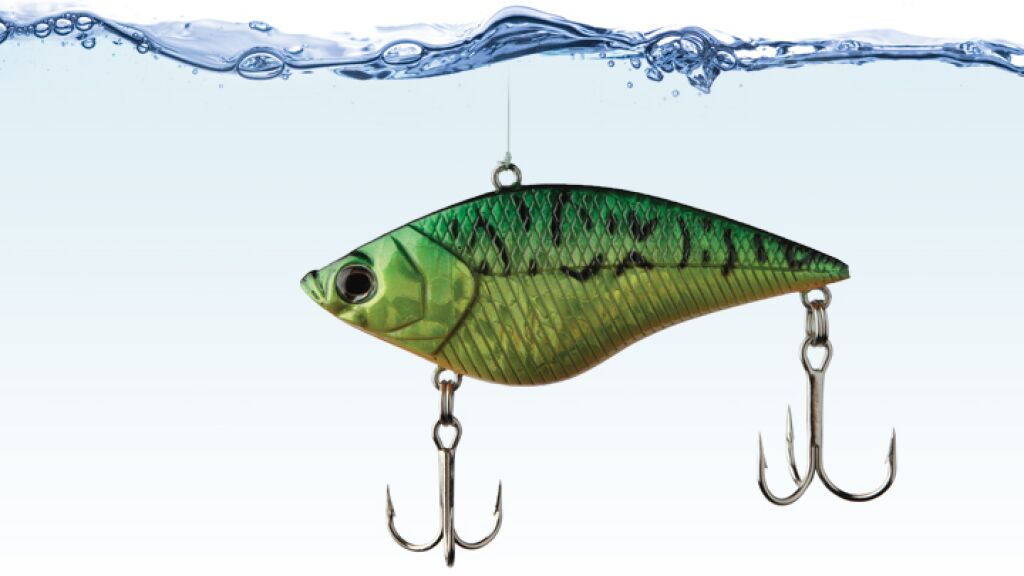 WHERE HAVE ALL THE FISH GONE THIS QUESTION IS DIRECTED visual data 5