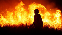 Is California Under a Curse?