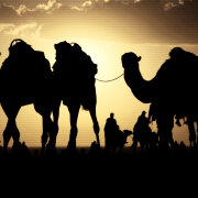 Germany allying with Arab nations