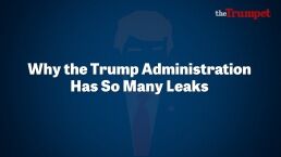 Why the Trump Administration Has So Many Leaks