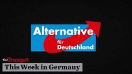 Germany&rsquo;s Election, KT zu Guttenberg, and Ending the Rise of the AfD