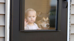 Number of Working Mothers Surges by 1.2 Million