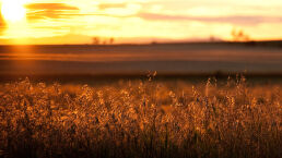 Drought Threatens the Great Plains