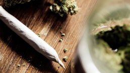 California Legalizes<em> </em>Marijuana