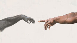 Did God Create Evolution?