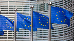 Europe vs. Democracy, Round 14