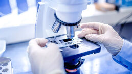 New Microscope Reveals Most Detailed View of Cells Deep in Living Bodies