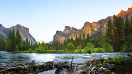 An Injury, a Camping Trip and a Better United States