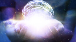 Mystery of the Human Mind