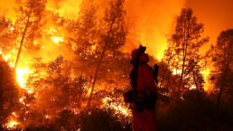 Wildfire Now California&rsquo;s Biggest Ever