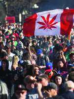 Canadians on weed-522696358_ChrisRoussakisAFP.jpg
