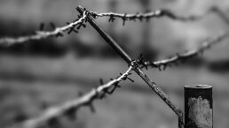 The Compassionate, Nonviolent Gulags