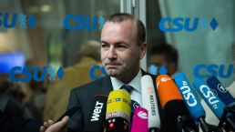 Is This the Next Mister Europe?