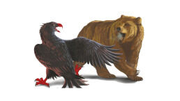 The Vicious Cycle: German-Russian Relations