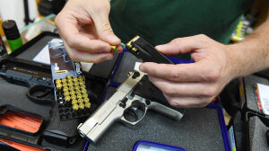 Record Gun Purchases in Germany and the Rise of Mini-Merkel