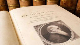 More Scientists Skeptical of Darwinism