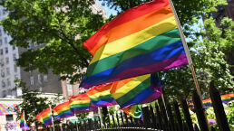 Has the Lesbian-Gay-Bisexual-Transsexual Agenda Worked?