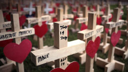 The Real Solution to Mass Shootings and Violence