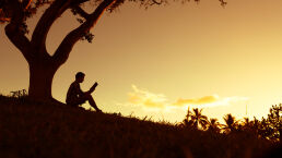 Meet Your Silent Companions