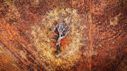 Are ‘Natural’ Disasters Punishment From God?