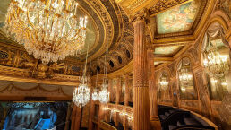 Cultural Experience—How You Could Live Longer