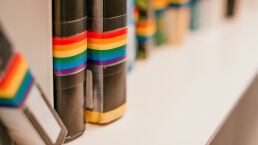 LGBTQ History Gets New, Broad Curriculum