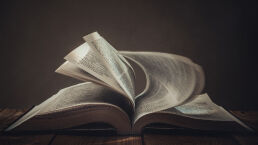 The Prophecy That Explains the World