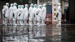 Asia Overwhelmed by Four &lsquo;Plagues&rsquo;