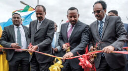 Horn of Africa Unification Paving Way for Fall to Iran