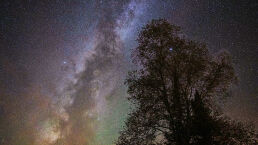 Are We Truly Not Alone?