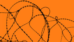 Your Freedom Is More Fragile Than You Think