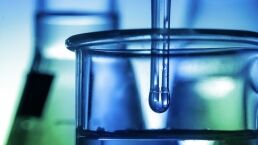 China&rsquo;s Test-tube Pandemic