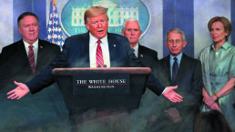 The Cure Is Killing Us