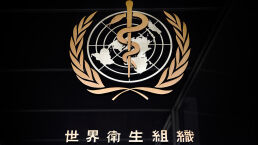 WHO and the Attack Against America