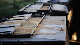 China Bans Australian Barley Imports as Trade War Intensifies