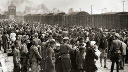 The Forgotten 6 Million