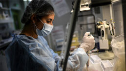 The Coronavirus, Bioweapons and the Pale Horse