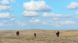 Megadrought Coming to America
