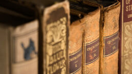 Fake History Does Real Damage