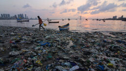 The Plastification of Our Planet