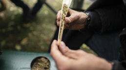 Marijuana Use Surges in Canada