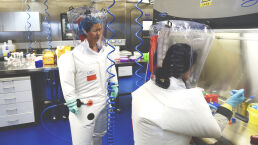 Wuhan Virus Lab Had &lsquo;All the Genes to Make a Coronavirus&rsquo; Since at Least 2017