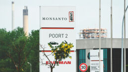 Are Bayer-Monsanto and BASF Responsible for Destroying Texas’s Grape Harvest?