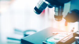 Scientist Unveils Oldest Animal Fossils Ever Discovered—or Are They?