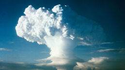 The Wolves Are Circling