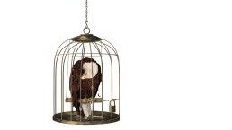 Death of the U.S.—Death of Freedom