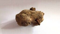 Archaeologists Discover First Crucifixion Victim in Britain